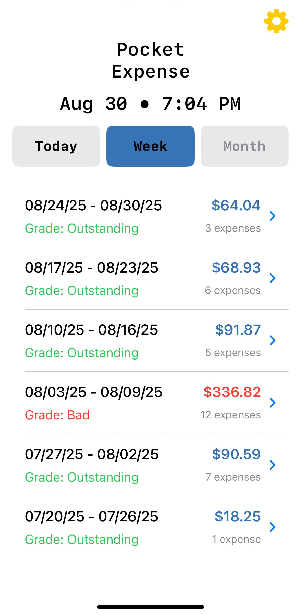 Pocket Expense screenshot